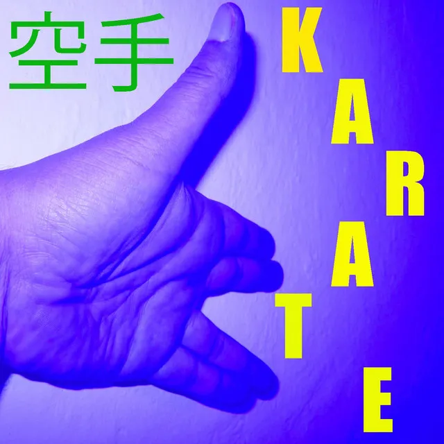 Musica per il Karate Vol. 11