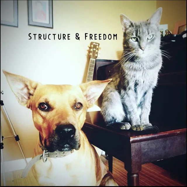 Structure & Freedom