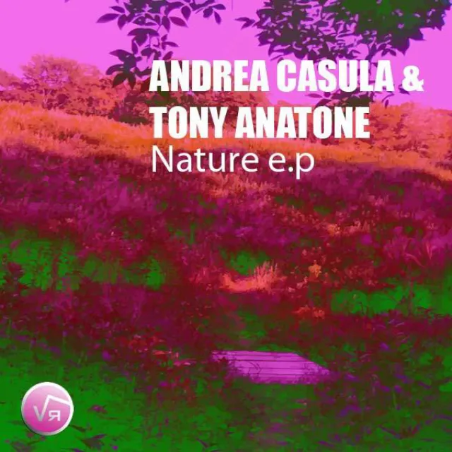 Nature On Acid - Original Mix