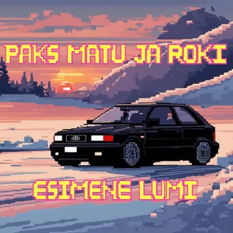 Esimene lumi by Paks Matu & Roki