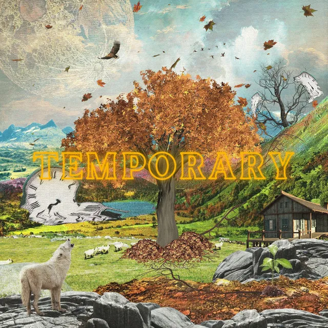 Temporary (feat. Tommy Will)