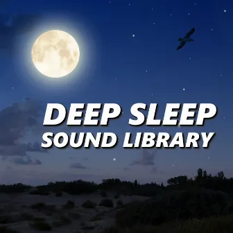 Deep Sleep Sound Library by Deep Sleep Sound Library