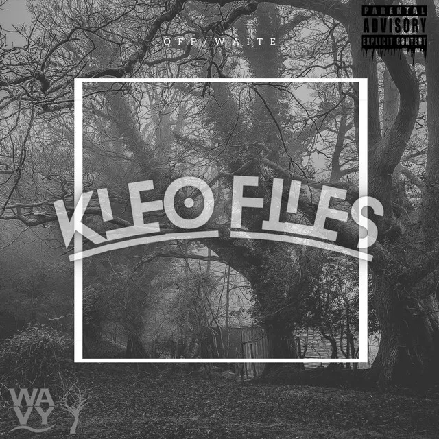 The Kleo Files