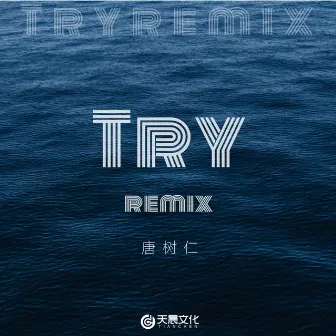 Try (Remix) by 唐树仁