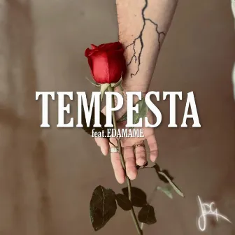 TEMPESTA by LDG