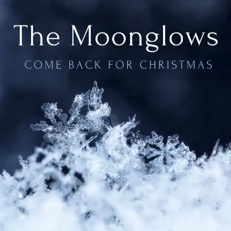 Come Back For Christmas by The Moonglows