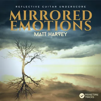 Mirrored Emotions by Matt Harvey