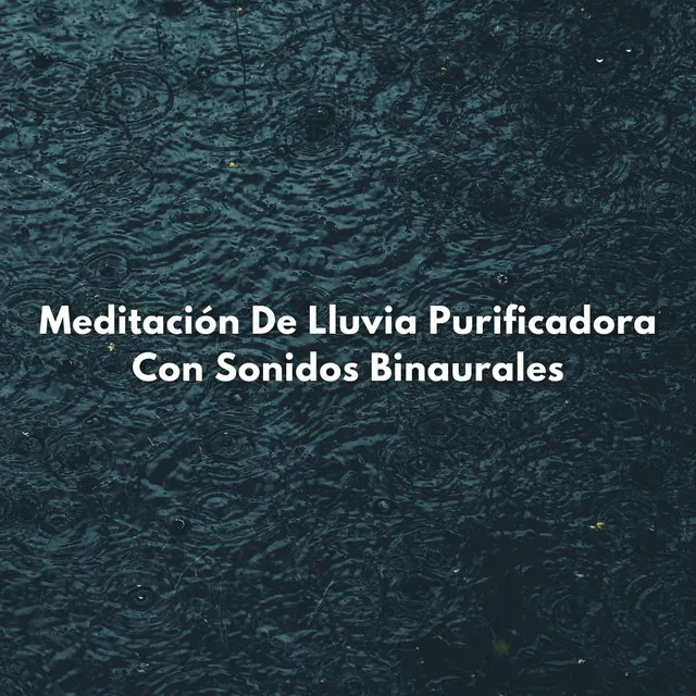 Sinfonía De Meditación De Lluvia Consciente