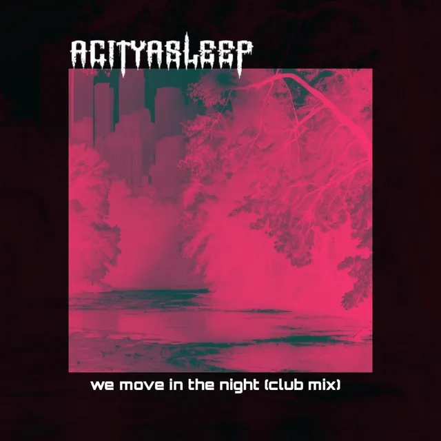 We Move In The Night (club mix)