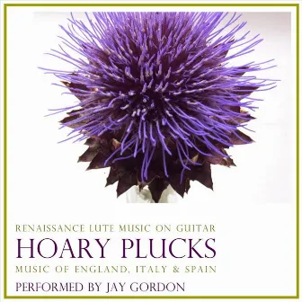 Hoary Plucks: Renaissance Lute Music on Guitar by Jay Gordon