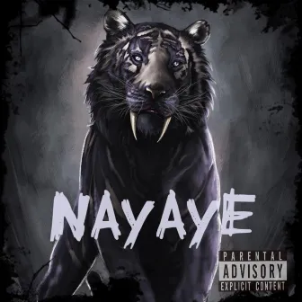 Nayaye by VDOT