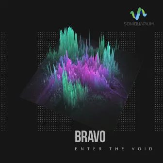 Enter the Void by Brav0