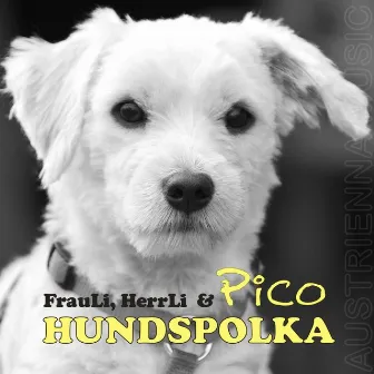 HundsPolka by Pico