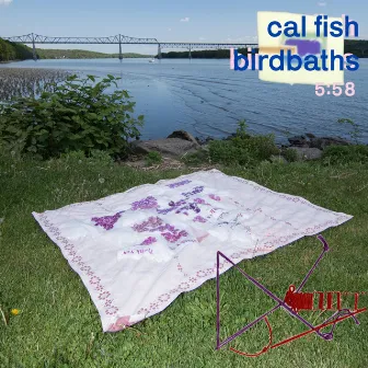 Birdbaths by Cal Fish