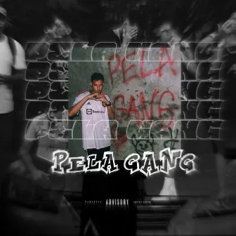 Pela Gang by 