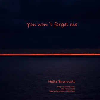 You Won't Forget Me by Helle Brunvoll