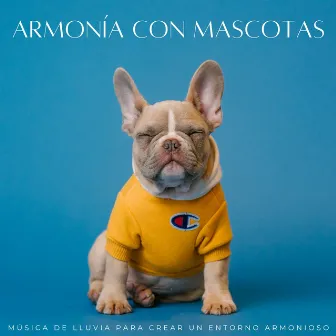 Armonía Con Mascotas: Música De Lluvia Para Crear Un Entorno Armonioso by Sonidos de tormenta de lluvia