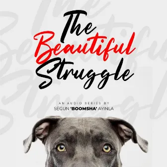 The Beautiful Struggle (An Audio Series) by Daboomsha