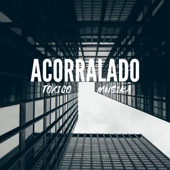 Acorralado by Toxico Musika