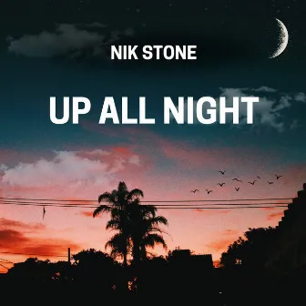 Up All Night by Nik Stone