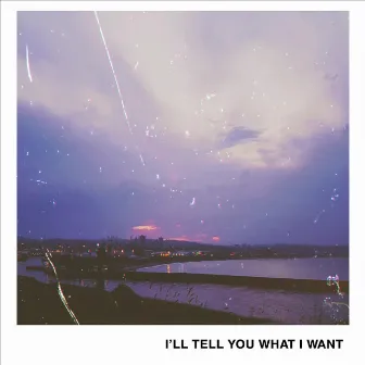 I'll Tell You What I Want by Ronnie Pacitti