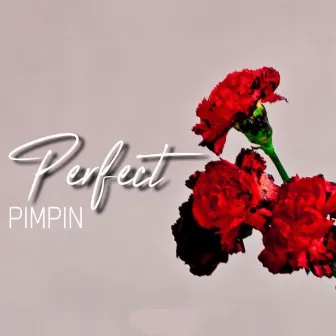 Perfect by Pimpin'