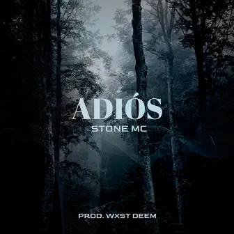 Adiós by Stone MC