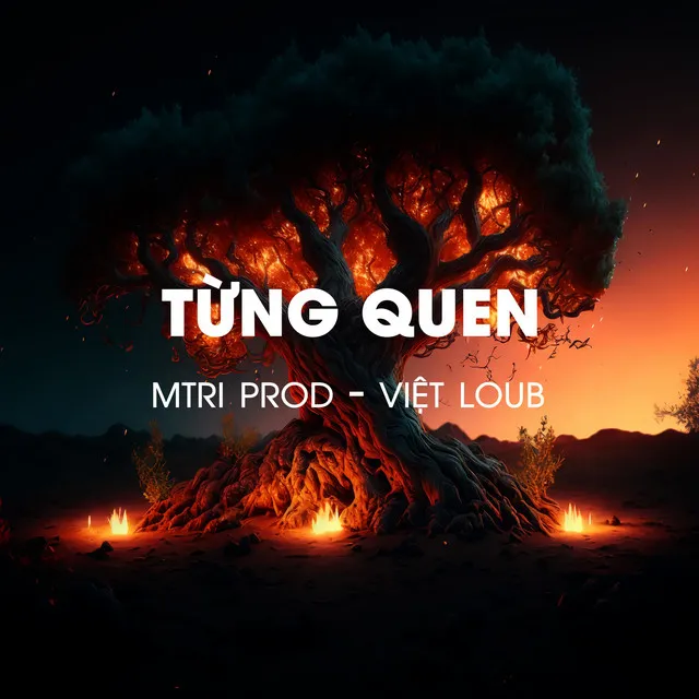 Từng Quen