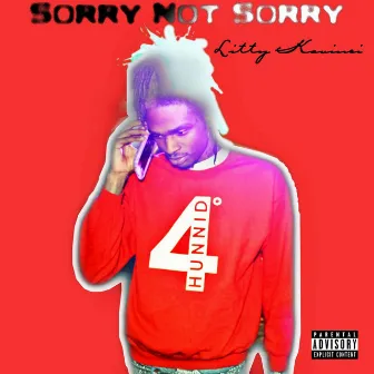 I'm Sorry Not Sorry by Litty Kavinci