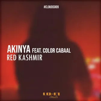 Red Kashmir by Akinya