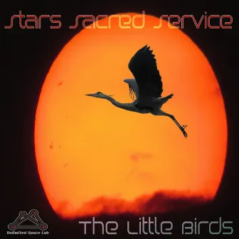 The Little Birds by Stars Sacred Service