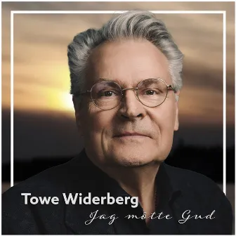 Jag mötte gud by Towe Widerberg