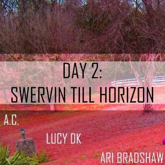 Day 2: Swervin Till Horizon by Ari Bradshaw