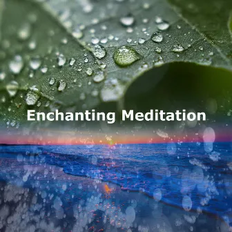 Enchanting Meditation by Divine Meditation