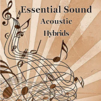 Essential Sound Acoustic Hybrids by Paul Gelsomine