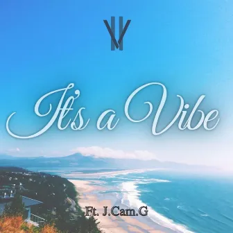 It's a Vibe by V2