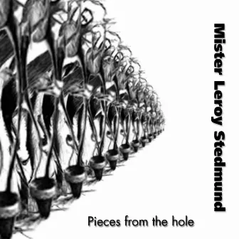 Pieces from the Hole by Mister Leroy Stedmund