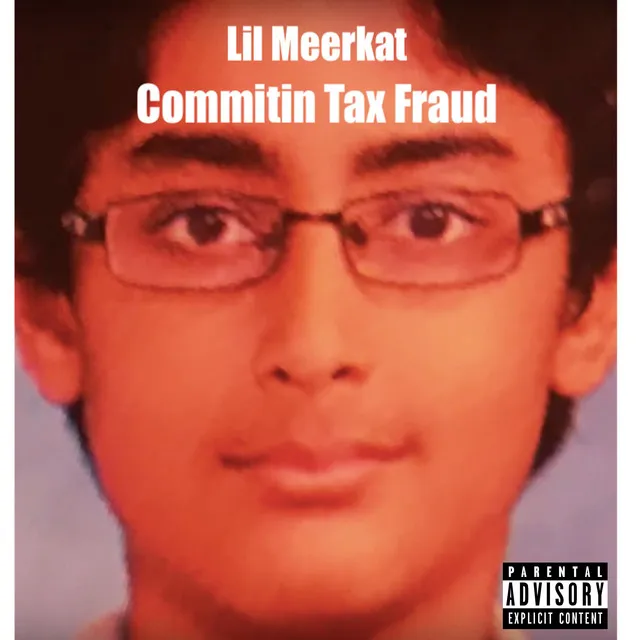 Commitin Tax Fraud