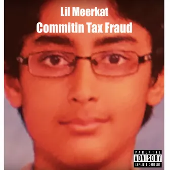 Commitin Tax Fraud by Lil Meerkat