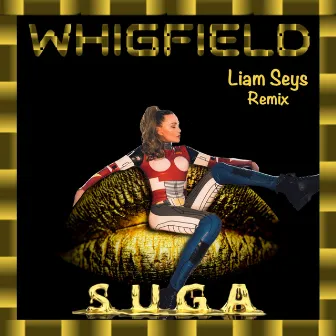 Suga (Remix) by Liam Seys