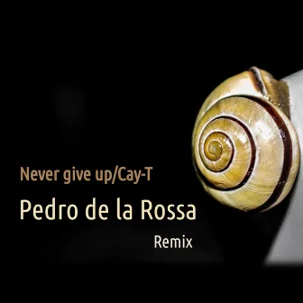 Never Give Up by Pedro de la Rossa