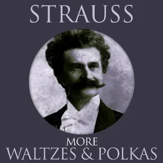 Strauss - More Waltzes & Polkas by Carl Michalski