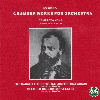 Dvorak: Chamber Works For Orchestra by Camerata Nova Chamber Orchestra