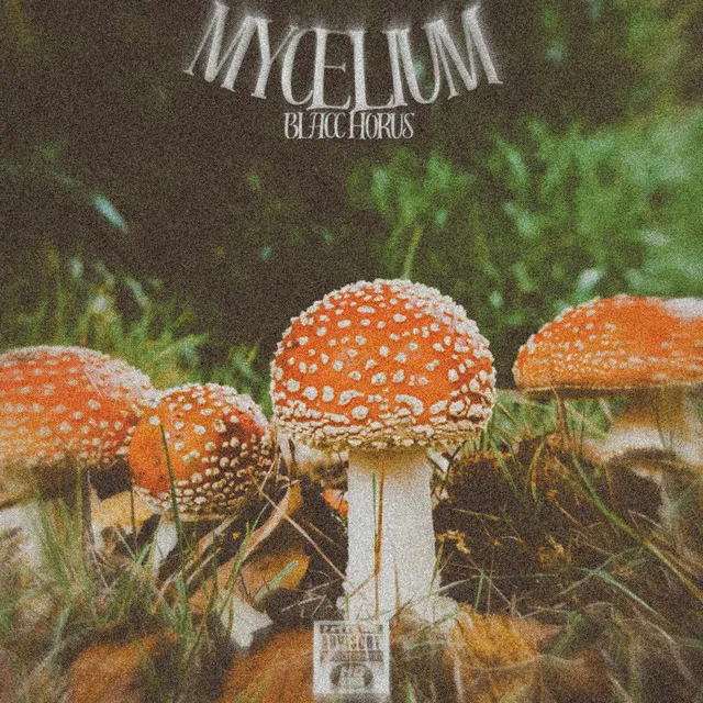 Mycelium