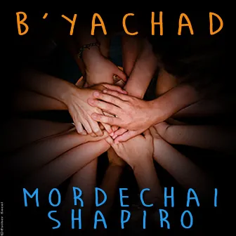 B'yachad by Mordechai Shapiro