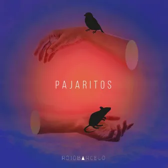 Pajaritos by Rojobarcelo