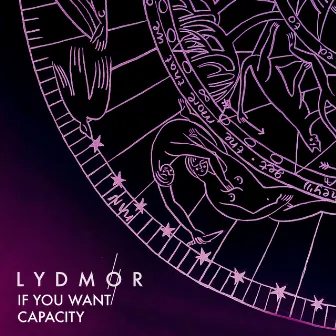 If You Want Capacity by Lydmor