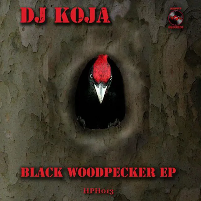 Black Woodpecker - DJ Gruja Remix