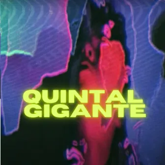 Quintal Gigante by Catabi