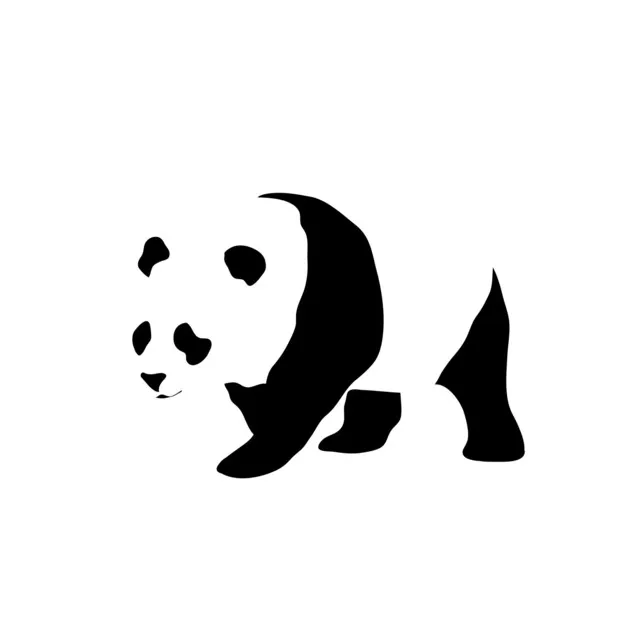 Oso Panda